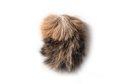 Fur Clipping Image